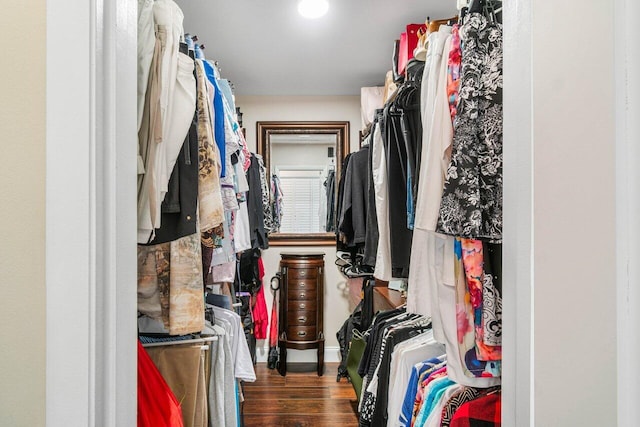 spacious closet featuring dark hardwood / wood-style flooring