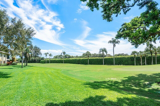 surrounding community featuring a lawn