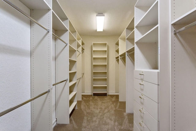 walk in closet with carpet