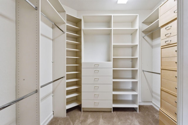 walk in closet featuring carpet floors