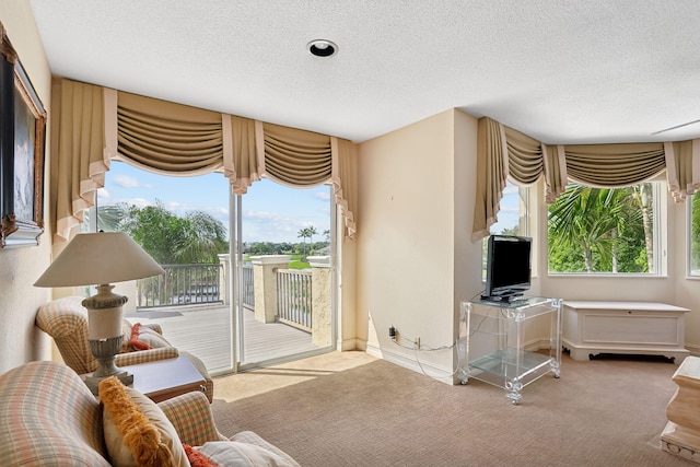 living room with carpet, a healthy amount of sunlight, and a textured ceiling