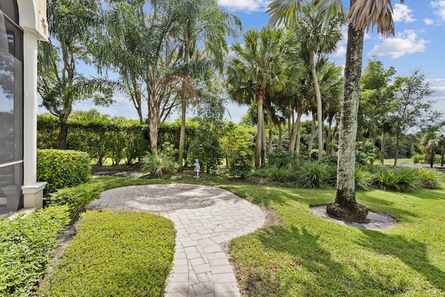 view of property's community featuring a yard and a patio