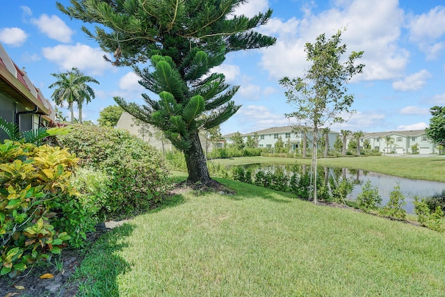 view of yard with a water view