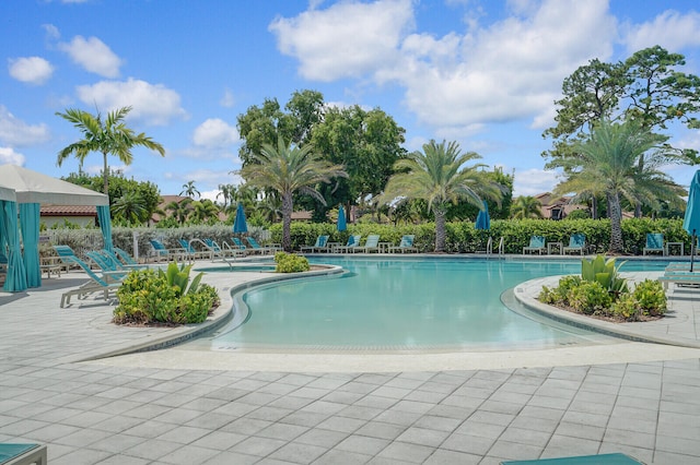 view of pool with a patio area