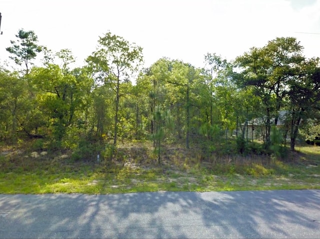 7020 N Maltese Dr, Citrus Springs FL, 34433 land for sale