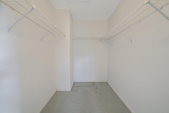 view of spacious closet