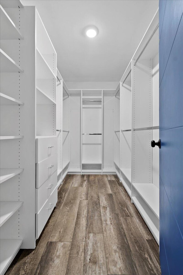 walk in closet with dark wood-type flooring