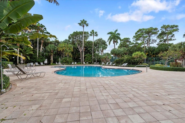 view of pool featuring a patio