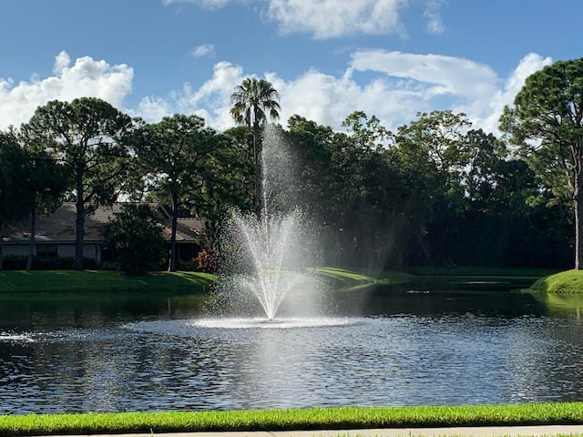 view of water feature