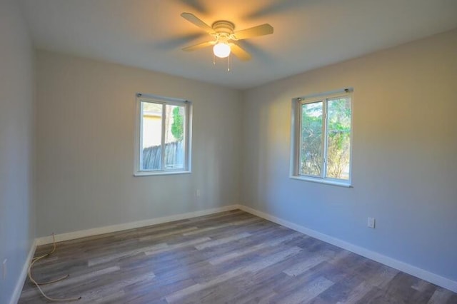 spare room with a wealth of natural light, ceiling fan, and dark wood-type flooring