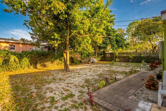 view of yard with a patio