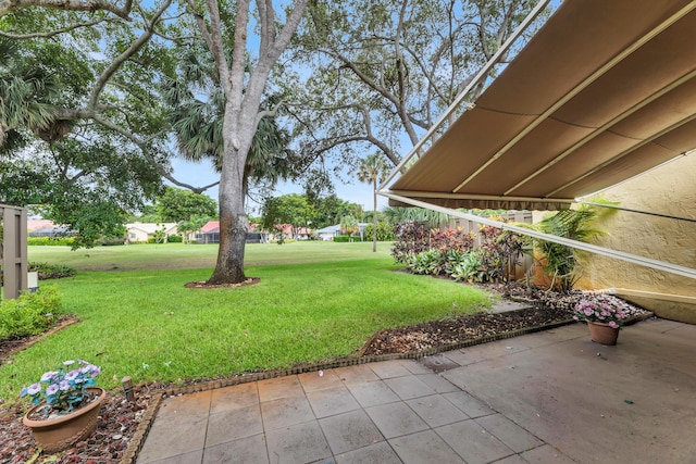 view of yard featuring a patio