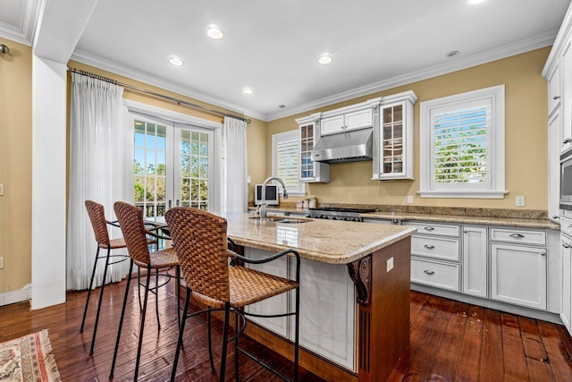 kitchen featuring a center island with sink, dark hardwood / wood-style flooring, a healthy amount of sunlight, and sink