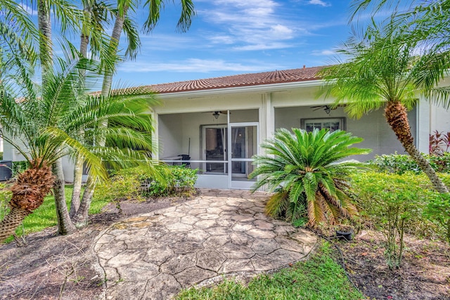 back of house with a patio and ceiling fan