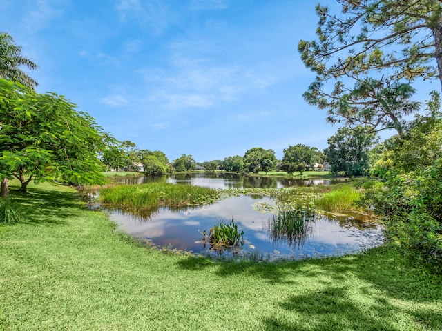 property view of water