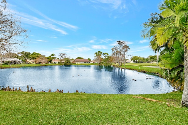 view of water feature