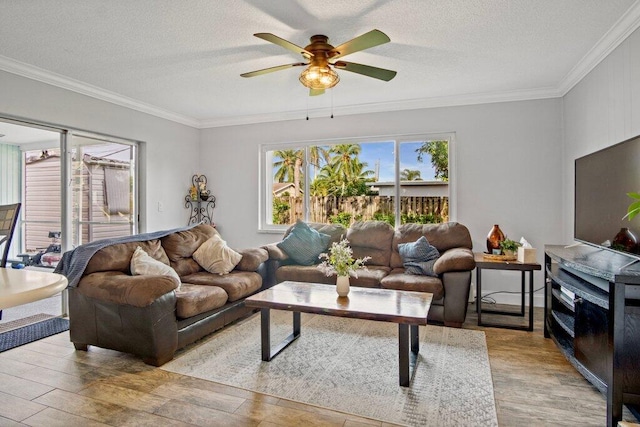 living room with a textured ceiling, crown molding, light wood-type flooring, and ceiling fan