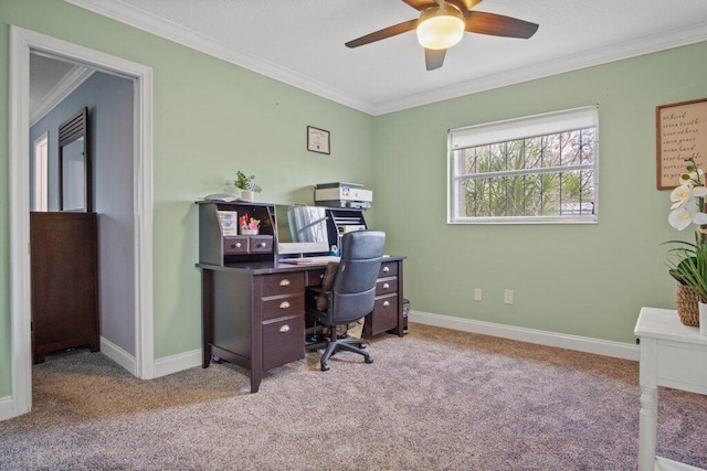 carpeted office with ceiling fan and ornamental molding