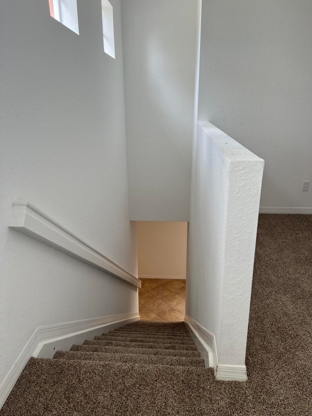 staircase with carpet