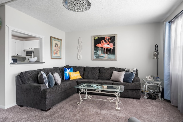 carpeted living area featuring a textured ceiling