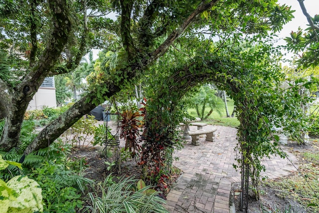 view of yard featuring a patio