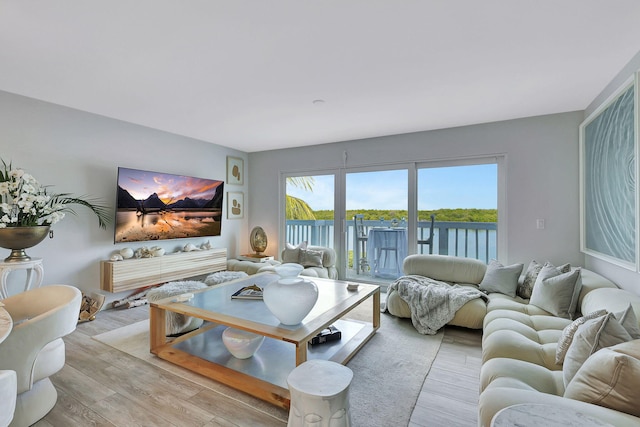 living room featuring light hardwood / wood-style flooring