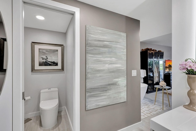 bathroom featuring wood-type flooring and vanity