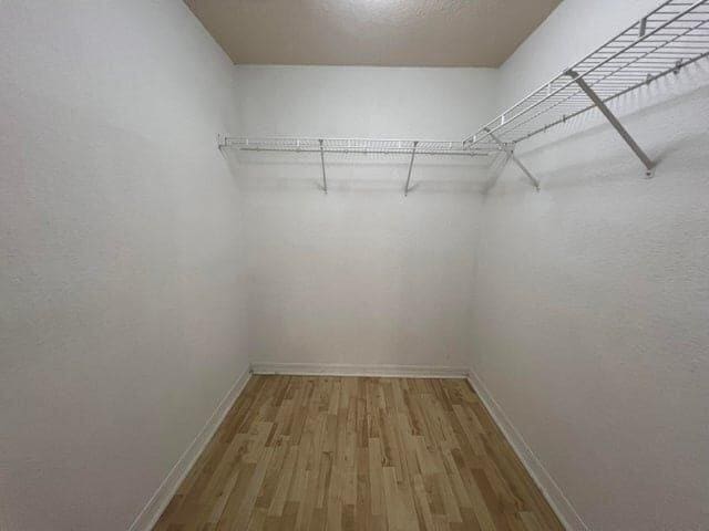 walk in closet featuring hardwood / wood-style flooring