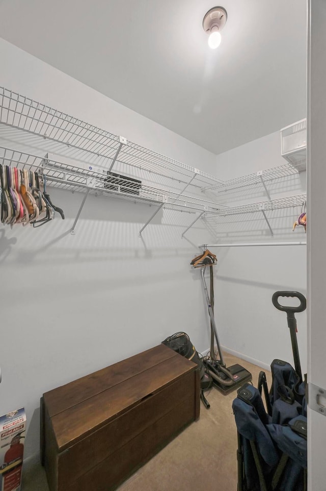 spacious closet featuring carpet flooring