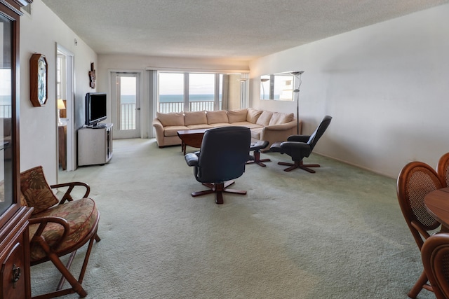 living room with a textured ceiling and light colored carpet