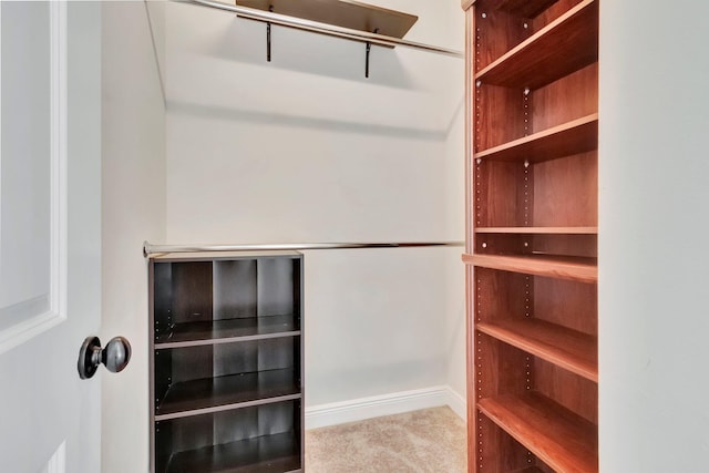 spacious closet with light carpet