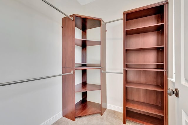 spacious closet with light carpet