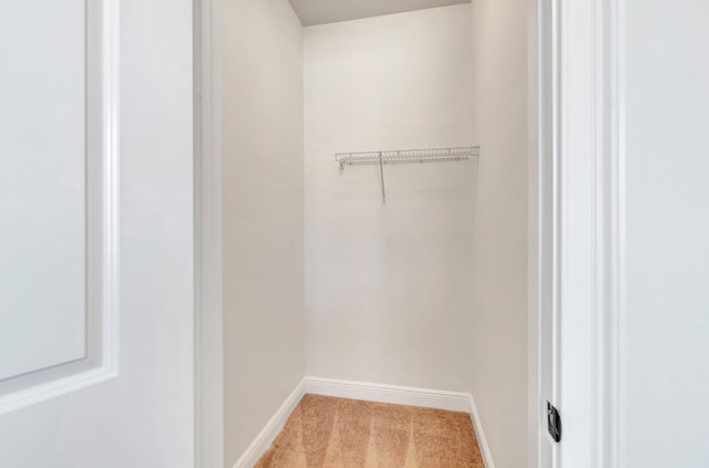 spacious closet featuring light colored carpet