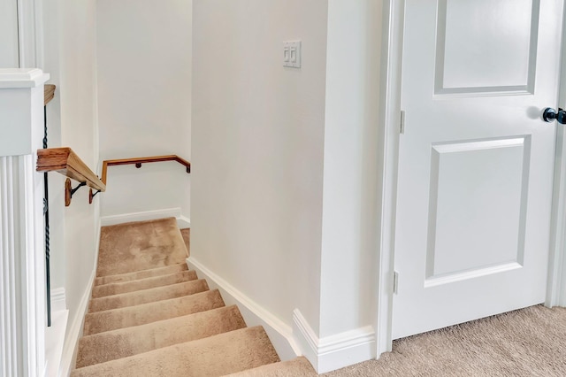 staircase featuring carpet floors