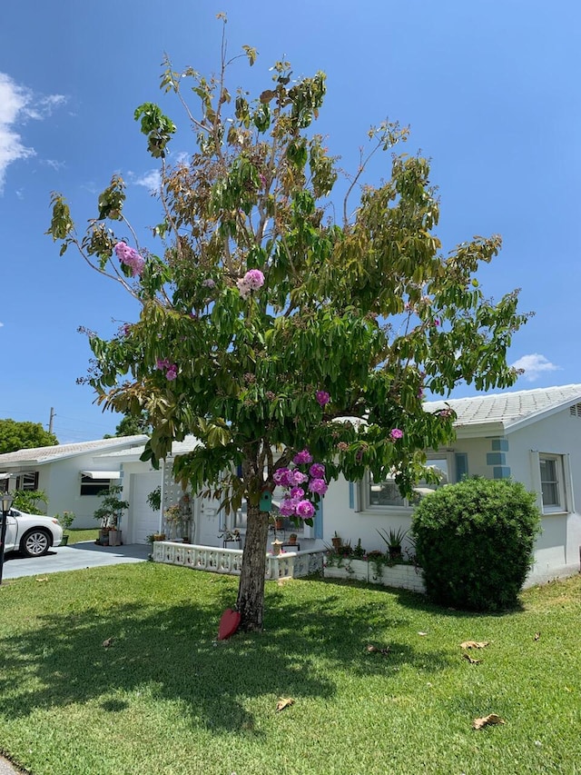 view of front of house featuring a front yard