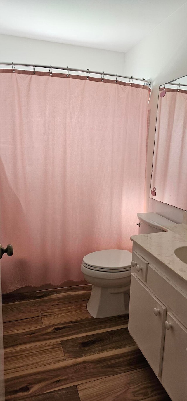 bathroom featuring hardwood / wood-style floors, vanity, and toilet