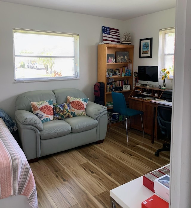 office area featuring wood-type flooring