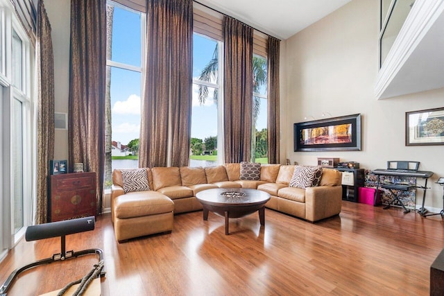 living room with high vaulted ceiling and hardwood / wood-style flooring