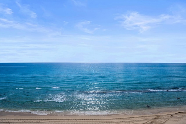 water view with a view of the beach