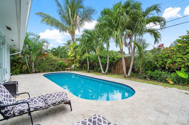 view of pool with a patio