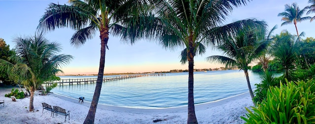 property view of water featuring a beach view