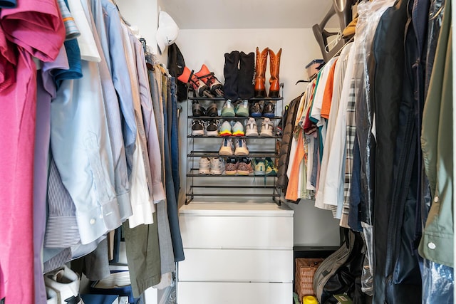 view of walk in closet