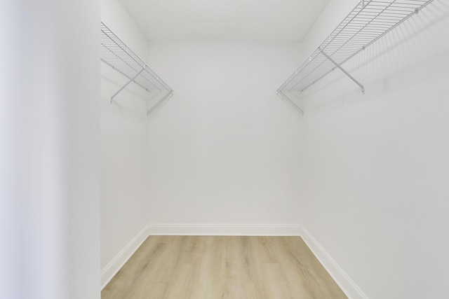 walk in closet featuring light wood-type flooring