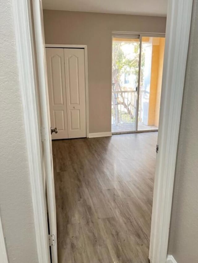 empty room with hardwood / wood-style floors