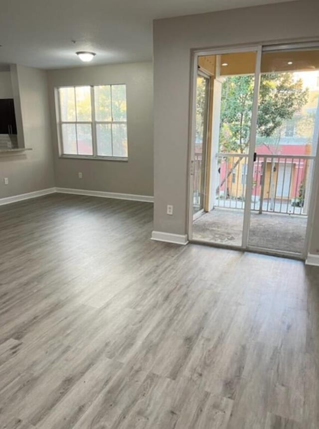 spare room featuring wood-type flooring and a healthy amount of sunlight