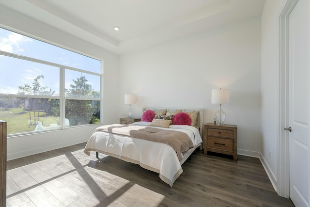 bedroom featuring dark hardwood / wood-style floors