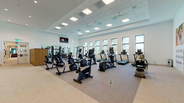 workout area featuring light colored carpet and a towering ceiling