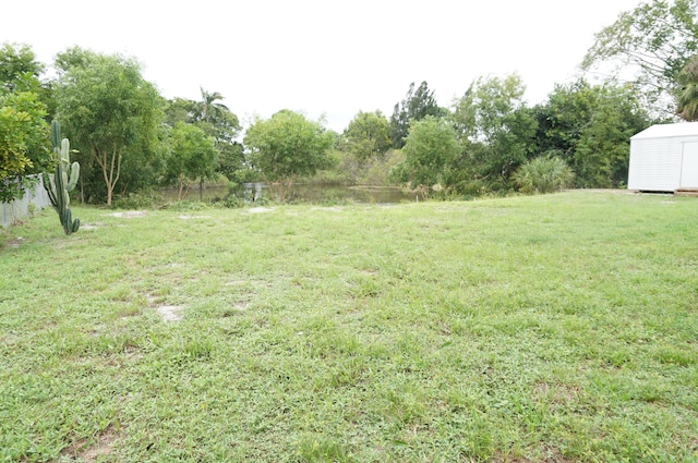 view of yard featuring a shed