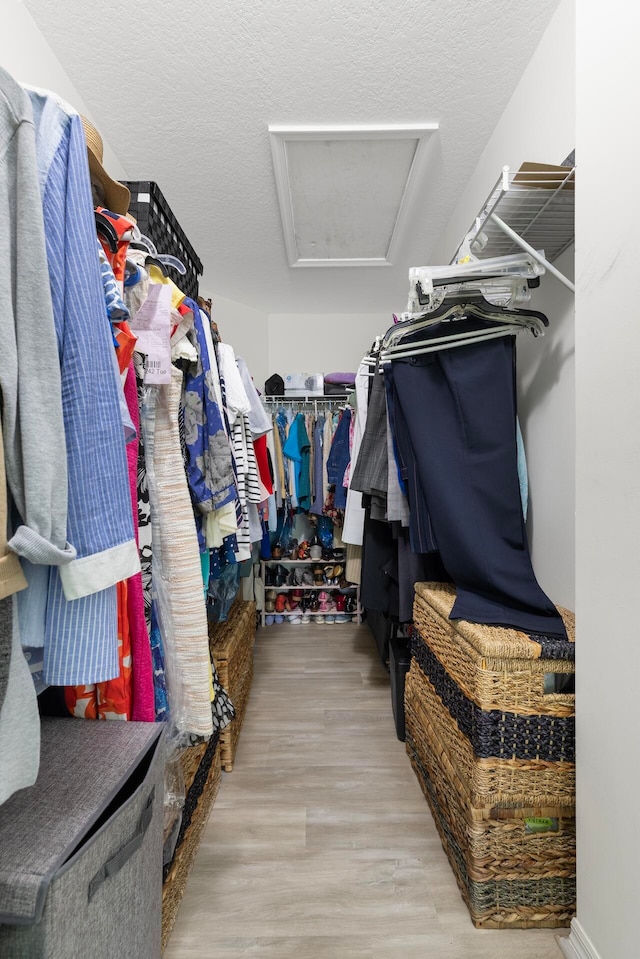 walk in closet with hardwood / wood-style flooring