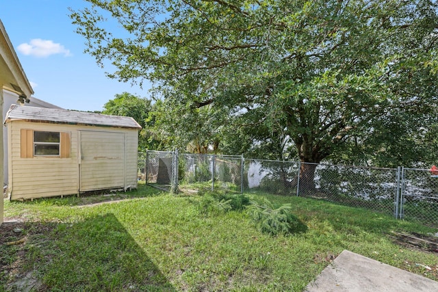 view of yard featuring a shed